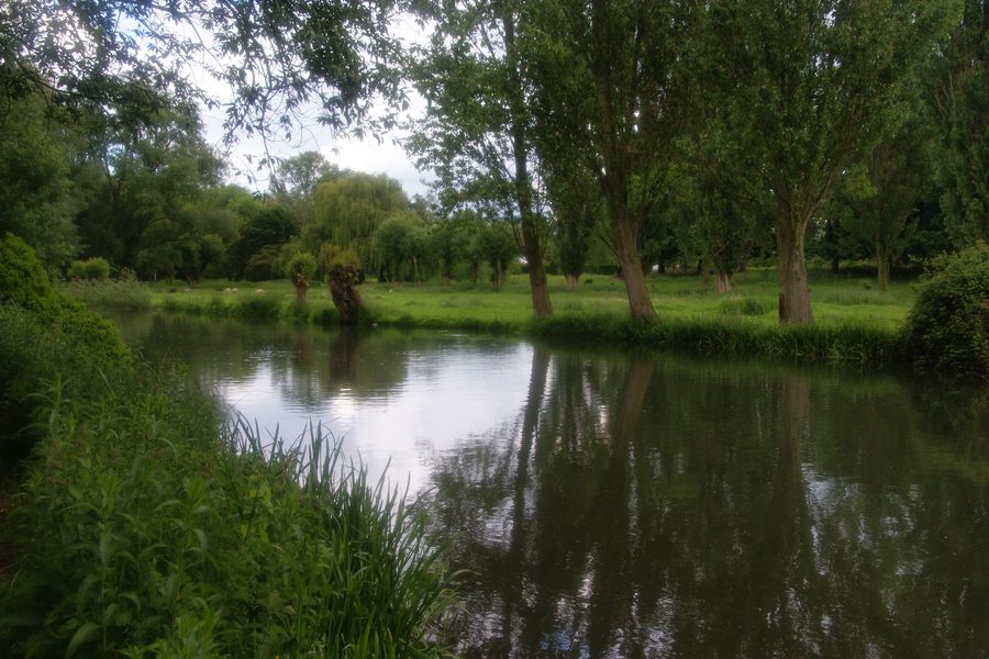 The River Cam by Newnham Croft, Newnham