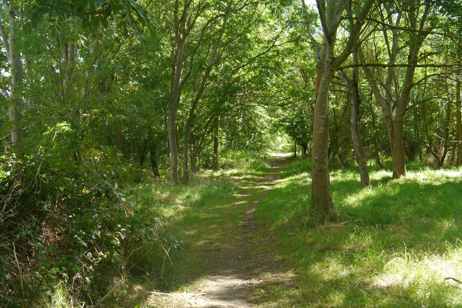 Path in Sunnymeade Park, Summertown